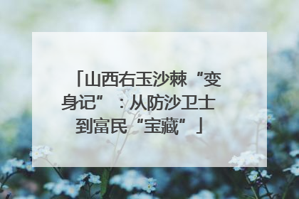 山西右玉沙棘“变身记”：从防沙卫士到富民“宝藏”