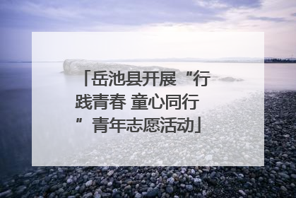 岳池县开展“行践青春 童心同行”青年志愿活动