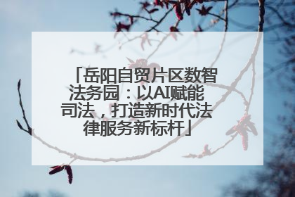 岳阳自贸片区数智法务园：以AI赋能司法，打造新时代法律服务新标杆
