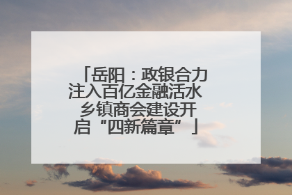 岳阳：政银合力注入百亿金融活水 乡镇商会建设开启“四新篇章”