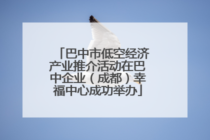 巴中市低空经济产业推介活动在巴中企业（成都）幸福中心成功举办