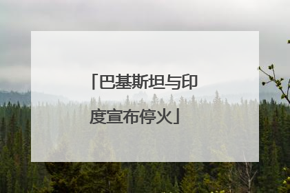 巴基斯坦与印度宣布停火