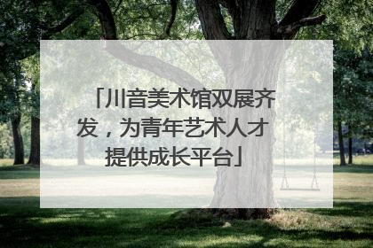 川音美术馆双展齐发，为青年艺术人才提供成长平台