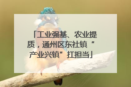 工业强基、农业提质，通州区东社镇“产业兴镇”扛担当