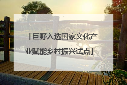 巨野入选国家文化产业赋能乡村振兴试点