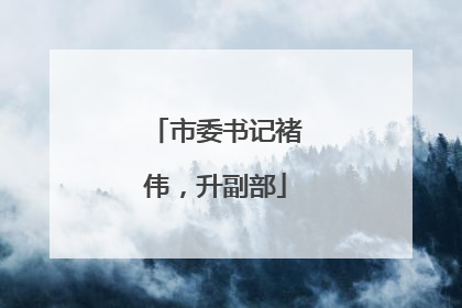 市委书记褚伟，升副部