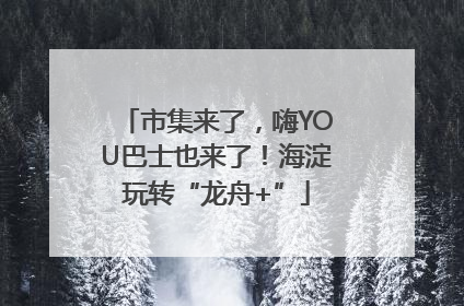 市集来了，嗨YOU巴士也来了！海淀玩转“龙舟+”