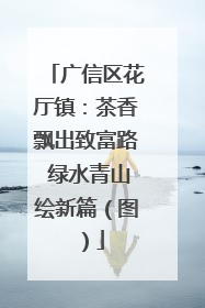 广信区花厅镇：茶香飘出致富路 绿水青山绘新篇（图）