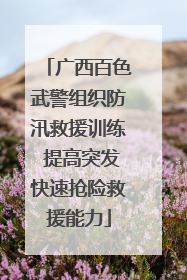 广西百色武警组织防汛救援训练 提高突发快速抢险救援能力