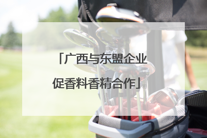 广西与东盟企业促香料香精合作