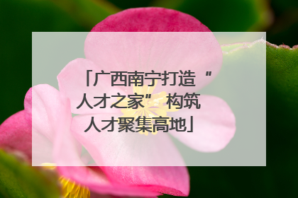 广西南宁打造“人才之家” 构筑人才聚集高地