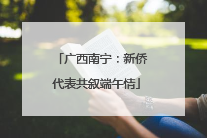广西南宁：新侨代表共叙端午情