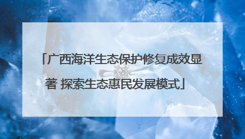广西海洋生态保护修复成效显著 探索生态惠民发展模式