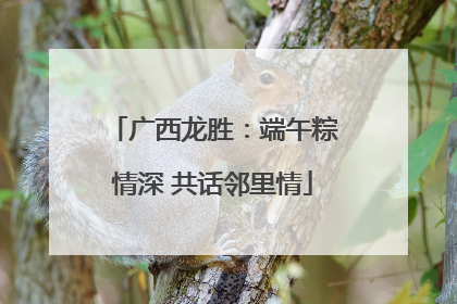 广西龙胜：端午粽情深 共话邻里情