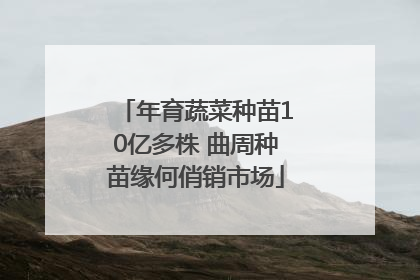 年育蔬菜种苗10亿多株 曲周种苗缘何俏销市场
