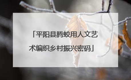 平阳县腾蛟用人文艺术编织乡村振兴密码