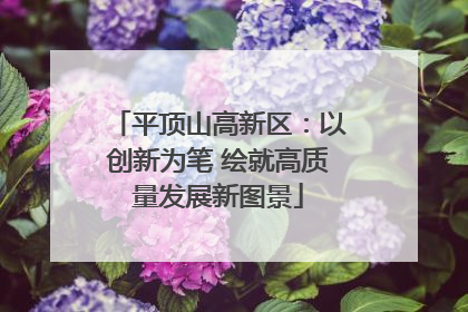 平顶山高新区：以创新为笔 绘就高质量发展新图景