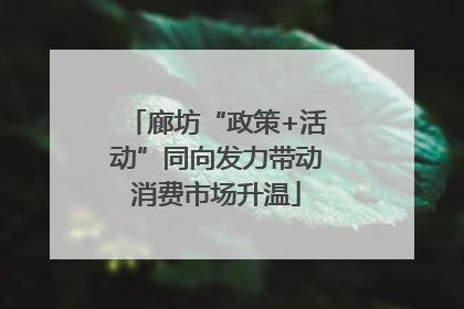 廊坊“政策+活动”同向发力带动消费市场升温