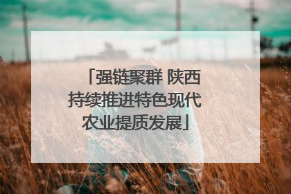 强链聚群 陕西持续推进特色现代农业提质发展