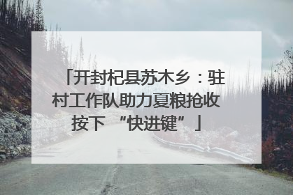 开封杞县苏木乡：驻村工作队助力夏粮抢收按下 “快进键”