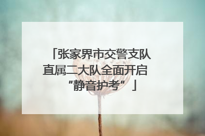 张家界市交警支队直属二大队全面开启“静音护考”