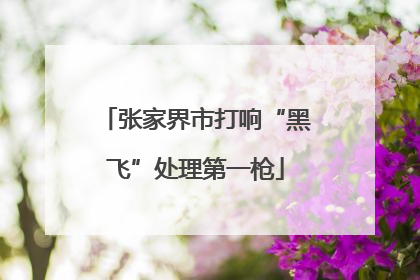 张家界市打响“黑飞”处理第一枪
