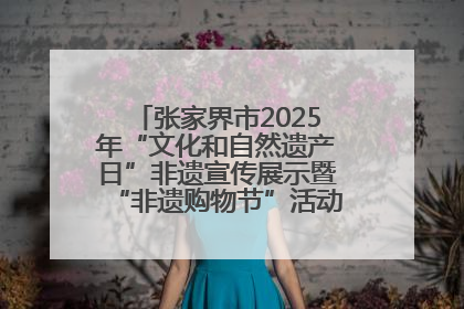 张家界市2025年“文化和自然遗产日”非遗宣传展示暨“非遗购物节”活动在慈利县盛大启幕