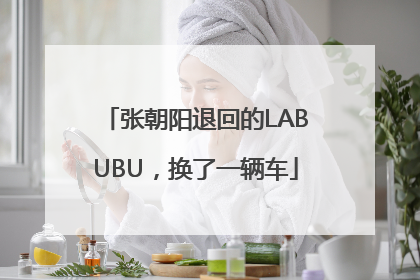 张朝阳退回的LABUBU，换了一辆车
