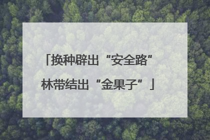 换种辟出“安全路” 林带结出“金果子”