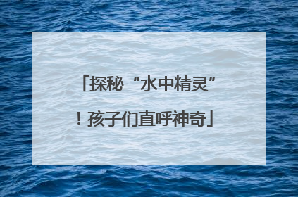 探秘“水中精灵”！孩子们直呼神奇