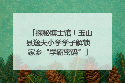 探秘博士馆！玉山县逸夫小学学子解锁家乡“学霸密码”