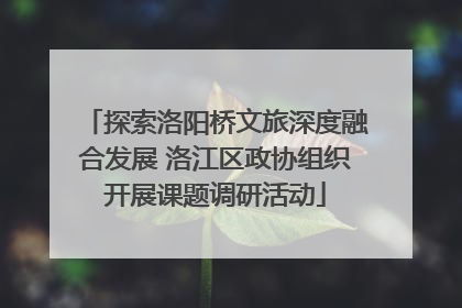 探索洛阳桥文旅深度融合发展 洛江区政协组织开展课题调研活动