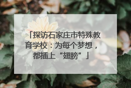 探访石家庄市特殊教育学校：为每个梦想，都插上“翅膀”