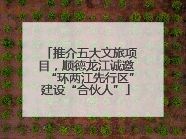 推介五大文旅项目，顺德龙江诚邀“环两江先行区”建设“合伙人”