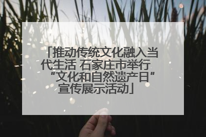 推动传统文化融入当代生活 石家庄市举行“文化和自然遗产日”宣传展示活动