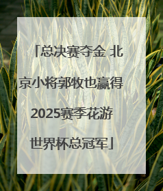 总决赛夺金 北京小将郭牧也赢得2025赛季花游世界杯总冠军