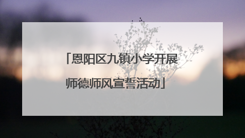 恩阳区九镇小学开展师德师风宣誓活动