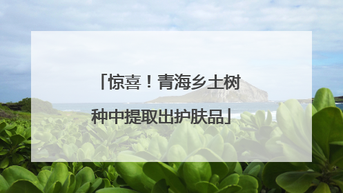 惊喜！青海乡土树种中提取出护肤品