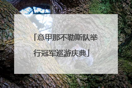 意甲那不勒斯队举行冠军巡游庆典