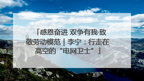 感恩奋进 双争有我·致敬劳动模范｜李宁：行走在高空的“电网卫士”