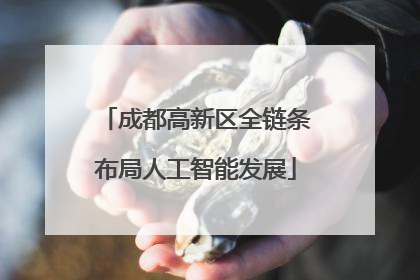 成都高新区全链条布局人工智能发展