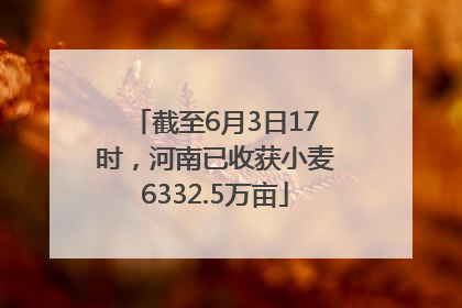 截至6月3日17时，河南已收获小麦6332.5万亩
