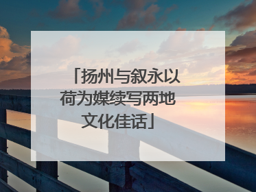 扬州与叙永以荷为媒续写两地文化佳话