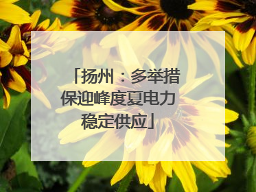 扬州：多举措保迎峰度夏电力稳定供应