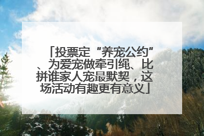 投票定“养宠公约”、为爱宠做牵引绳、比拼谁家人宠最默契，这场活动有趣更有意义