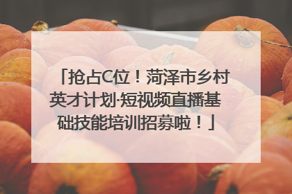 抢占C位！菏泽市乡村英才计划·短视频直播基础技能培训招募啦！