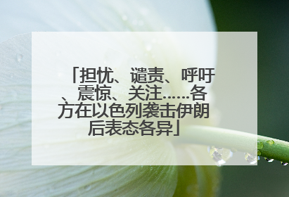 担忧、谴责、呼吁、震惊、关注……各方在以色列袭击伊朗后表态各异