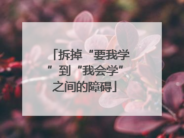 拆掉“要我学”到“我会学”之间的障碍