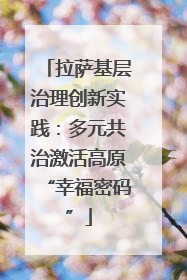 拉萨基层治理创新实践：多元共治激活高原“幸福密码”