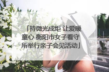 持微光成炬 让爱暖童心 衡阳市女子看守所举行亲子会见活动